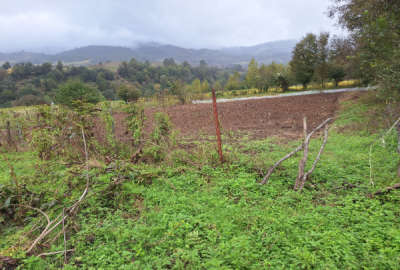 زمین مسکونی ییلاقی در منطقه چهاردانگه روستای کلاکرده