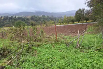 زمین مسکونی ییلاقی در منطقه چهاردانگه روستای کلاکرده