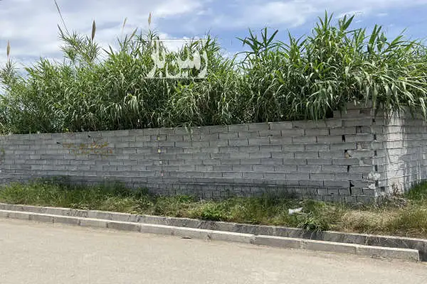 ۱۵۰متر زمین مسکونی ۳ کله واقع دراسکندرکلا - تصویر 2