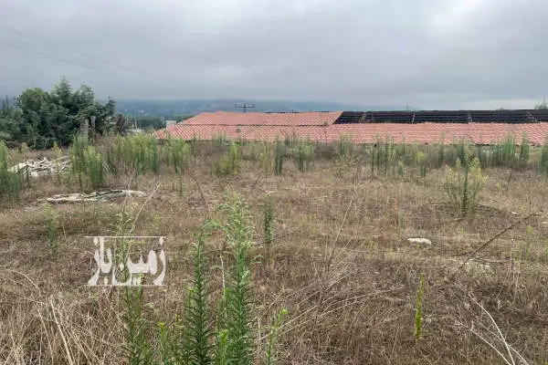زمین ۱۹۲۹ متر مسکونی کلاردشت بر خیابان اصلی - تصویر 2