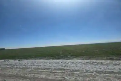 ۶۷۳۶۳ متر زمین کشاورزی در چناران