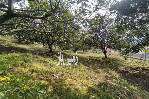زمین ۳۰۰ متر با ویوی عالی در روستای تنگه لته - تصویر 2