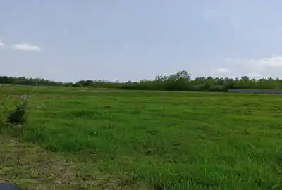 زمین باغی ۱۰۰۰ متر در لنگرود روستای پیرپشته