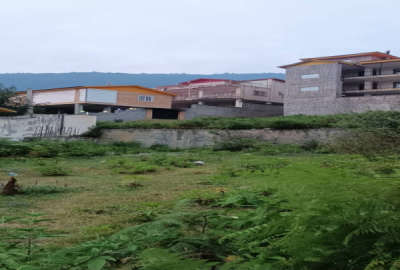 زمین مسکونی ۲۰۰ متر در روستای گنگرج کلا چلاو