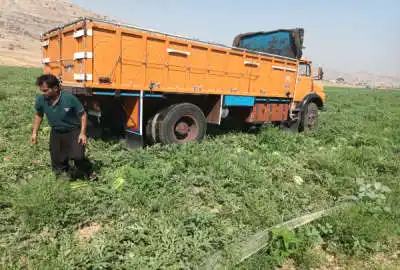 زمین کشاورزی با ۲۰ ساعت آب موتور ۶۰۰۰۰ متر مزرعه سیداباد دشتابی