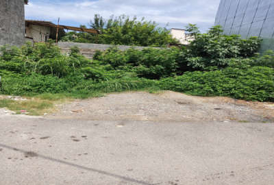 زمین ۱۳۶ متری دریای ۴۵ شامحله آمل بلوار طبرسی