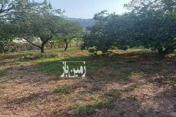 زمین مسکونی ۳۵۰ متری روستای اندارگلی - تصویر 4
