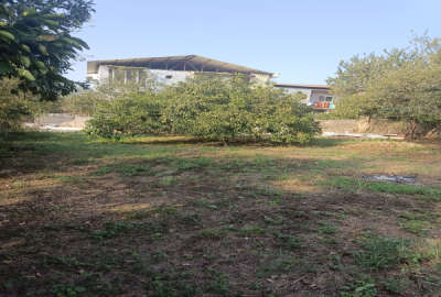 زمین مسکونی ۳۵۰ متری روستای اندارگلی