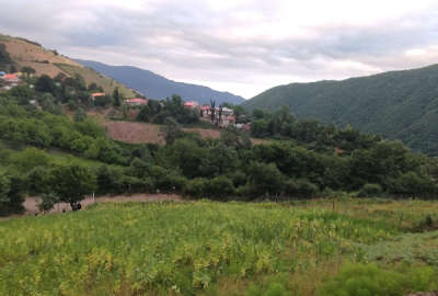 ۱۹۹۶ متر زمین در روستای زیبای چملر بالای روستای گیلده