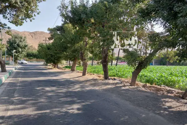 زمین کشاورزی ۸۱۵۰ متر جاده امین اباد بلوار رستگار - تصویر 2
