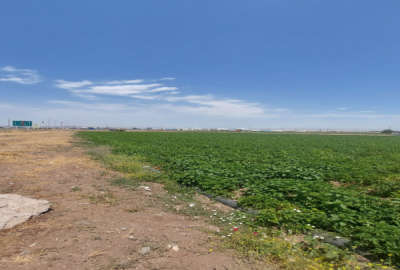 باغ زراعی ۴۰۰۰ متر بر جاده اردبیل مشگین شهر