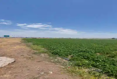 باغ زراعی ۴۰۰۰ متر بر جاده اردبیل مشگین شهر