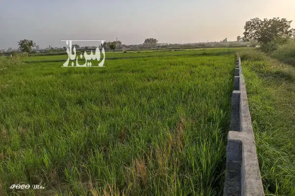 فروش زمین کشاورزی ۱۱۰۰ متر در روستای بختیار کتی - تصویر 2