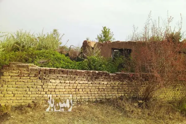 زمین مسکونی ۵۰۰ متر جاده گهرباران روستای چمازتپه کنار - تصویر 4