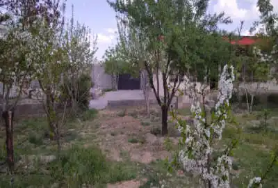باغ با ۱۶۰ درخت میوه آجیلی دارای باغبان