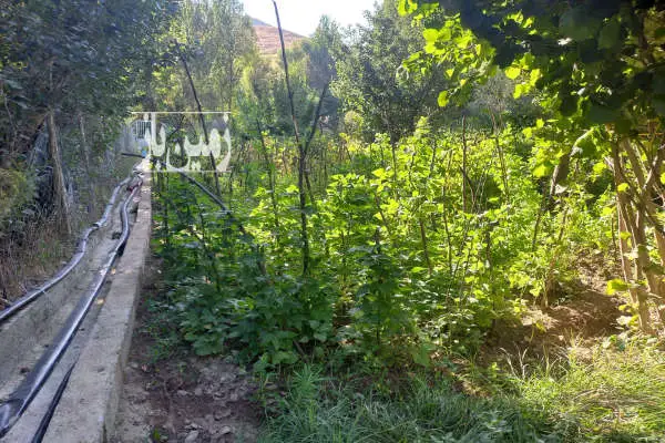 زمین جاده کلیبر به اهر ۲۱۰۰ متر خونه باغ کلنگی - تصویر 4