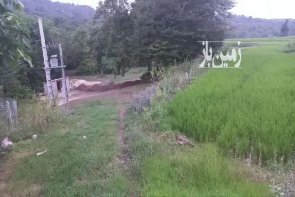 فروش ۱۱۸۲ متر زمین شالیزاری کشاورزی روستای خیرآباد - تصویر 4