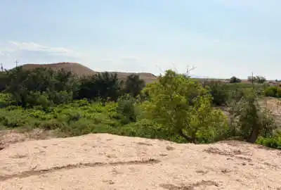 زمین باغی با درختای میوه ۱۰ ساله همراه با اب در شکراباد