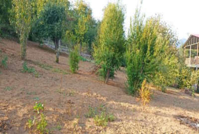 زمین مسکونی در روستای نقیب ده ۵۱۴ متر