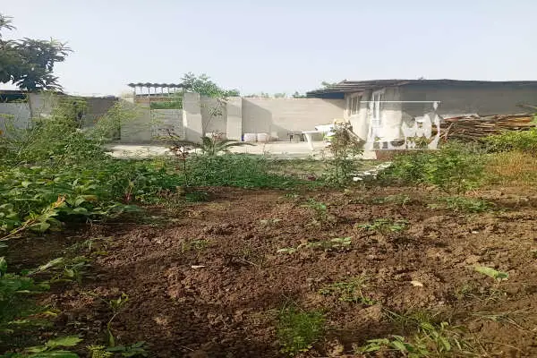 زمین باغی بافت روستایی ۱۵۲ متری روستای جنید - تصویر 4