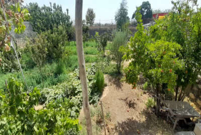 زمین ۵۰۰ متری در محلات روستای نخجیروان