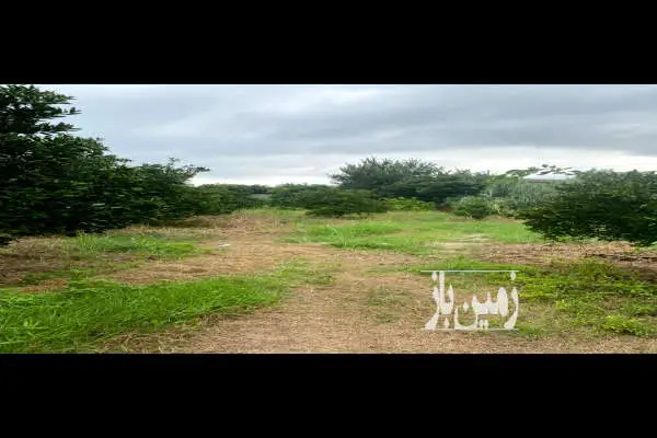 باغ ۱۵۰۰ متر داخل بافت محل با ویوی عالی - تصویر 4