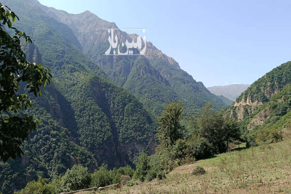 ۲۰۰ متر زمین در منطقه ییلاقی علی اباد دورچال-2