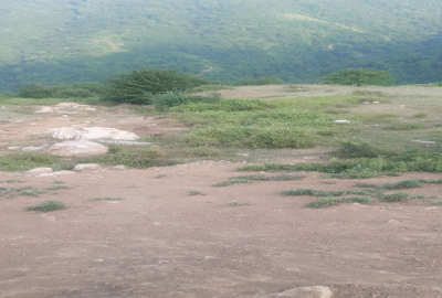 زمین مسکونی روستای پاقلعه خیابان فرهنگ ۳۰۰ متر