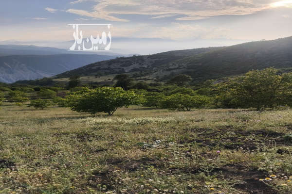 زمین روستای لشکنار پول ۳۲۵ متر چسبیده به بافت-1