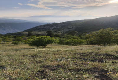 زمین روستای لشکنار پول ۳۲۵ متر چسبیده به بافت