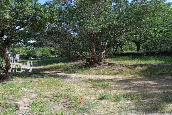 زمین باغی دره مرادبیک نزدیک صدا و سیما ۴۹۰ متر - تصویر 2