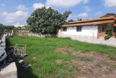زمین مسکونی ۳۰۵ متری واقع در روستای دونچال