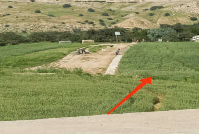 زمین ۱۵۰۰ متر باغ درخت سوئیت آلاچیق همه جوره