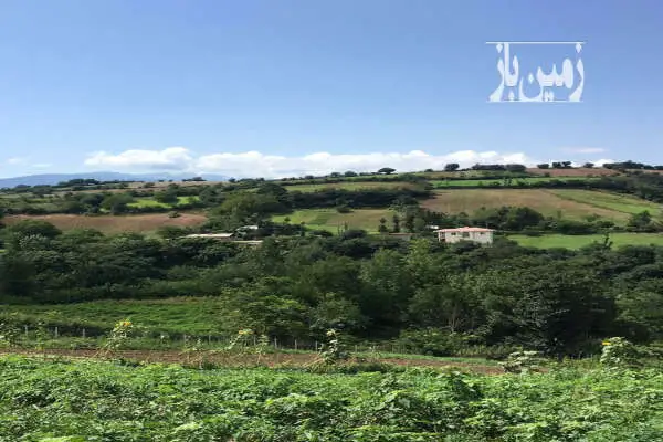 زمین مسکونی ۱۲۰۰ متر در روستای لیسن رودبار - تصویر 3