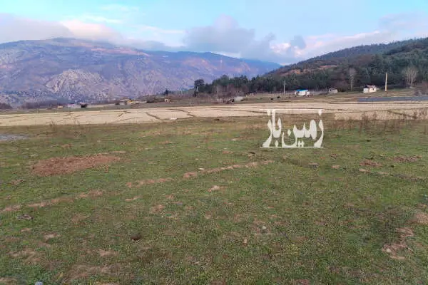 زمین کشاورزی چالوس کجور روستای دشت نطیر ۳۵۰ متر - تصویر 2