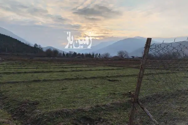 زمین کشاورزی چالوس کجور روستای دشت نطیر ۳۵۰ متر - تصویر 3