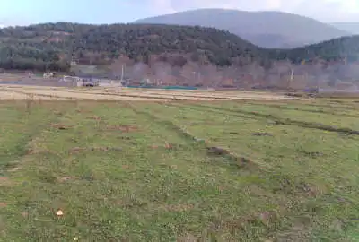 زمین کشاورزی چالوس کجور روستای دشت نطیر ۳۵۰ متر