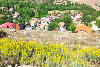زمین و باغ در کیاسر روستای ترکام ۲۸۰ متر