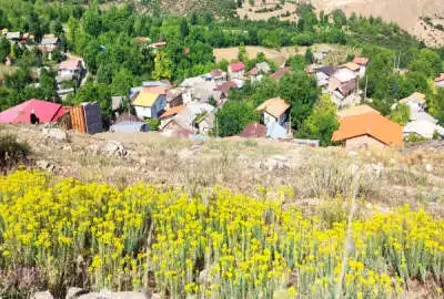 زمین و باغ در کیاسر روستای ترکام ۲۸۰ متر