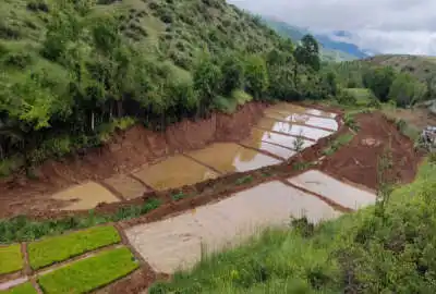 زمین شالیزاری با متراژ ۴۰۲۳ در روستای ترکام