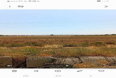۱۰۰۰ متر زمین کشاورزی نزدیک اشترینان با امکان حفر چاه