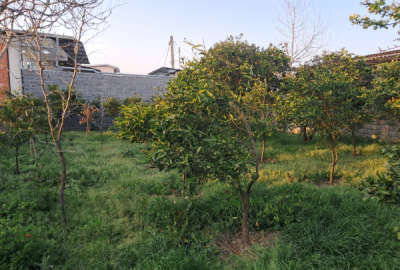 زمین ۲۵۰ متر روستای گتاب بیل پی