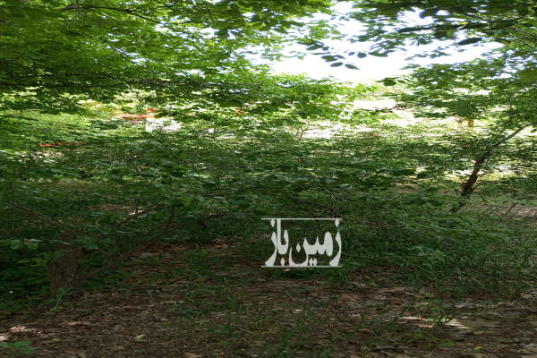 باغ ۶۹۴ متر بر جاده آغشت به تکیه-1