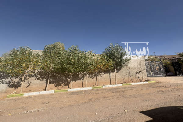 زمین ۲۶۵ متر همراه چاه اب و درختهای میوه روستای دانا-2