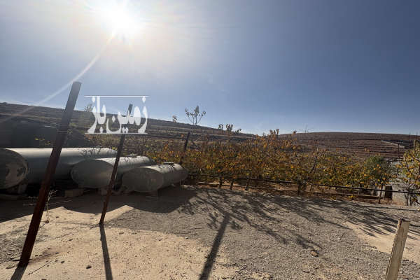 زمین ۲۶۵ متر همراه چاه اب و درختهای میوه روستای دانا-4