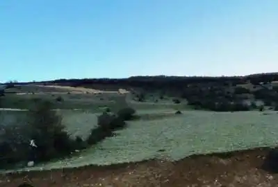 زمین ۹۲۶۰ متری واقعه در حسن کیف ابتدای جاده عباس آباد مازی کش