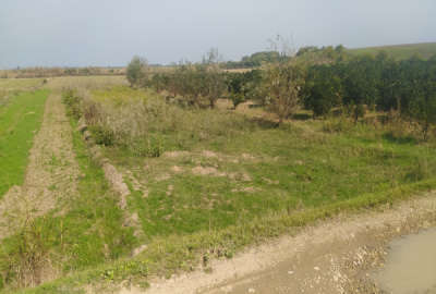 زمین خوش قواره جاده دریا ساری ۸۵۰ متر