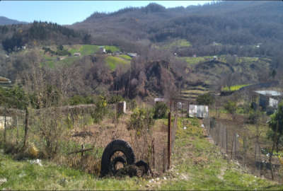 زمین ۲۷۶ توی بافت بر خیابان اصلی روستا امره ساری