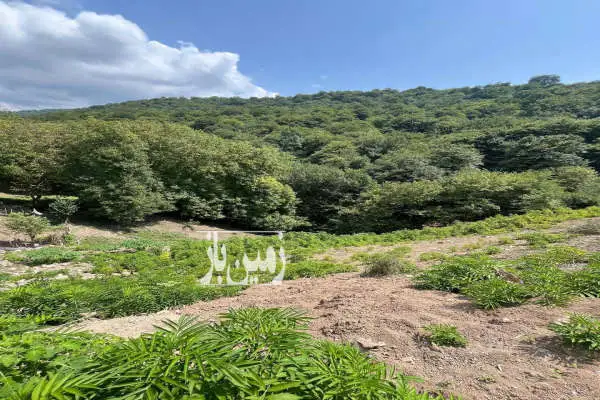 زمین الحاق به بافت ۱۴۰۰ متری در روستای پیرنعیم - تصویر 4