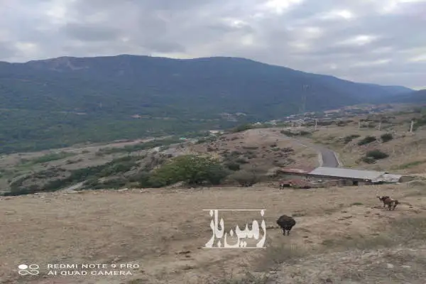 زمین کشاورزی سوادکوه روستای کارمزد ۷۰۰ متر - تصویر 2